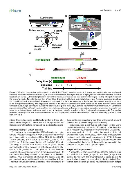 File:Page4-896px-Sato eNeuro.pdf.jpg