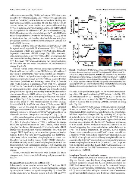 File:20250323102625!Takao J Neurosci.pdf