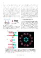Thumbnail for version as of 06:17, 11 April 2026