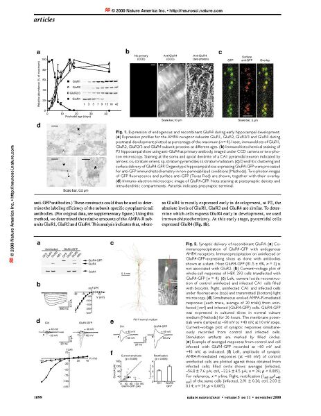 File:Page2-926px-Zhu Nature Neurosci.pdf.jpg