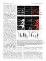 Thumbnail for version as of 06:17, 11 April 2026