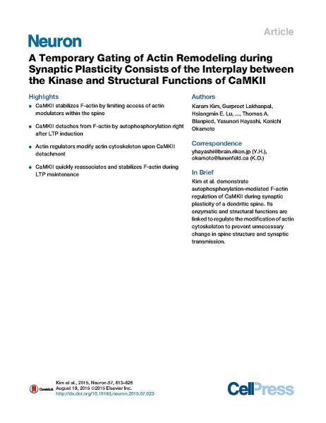 File:Page1-922px-Kim Neuron.pdf.jpg
