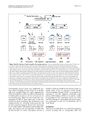 Thumbnail for version as of 06:17, 11 April 2026