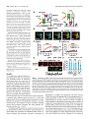 Thumbnail for version as of 06:18, 11 April 2026