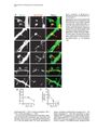 Thumbnail for version as of 06:17, 11 April 2026