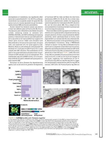 File:Page3-635px-Okamoto Physiol.pdf.jpg