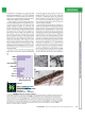 Thumbnail for version as of 06:18, 11 April 2026