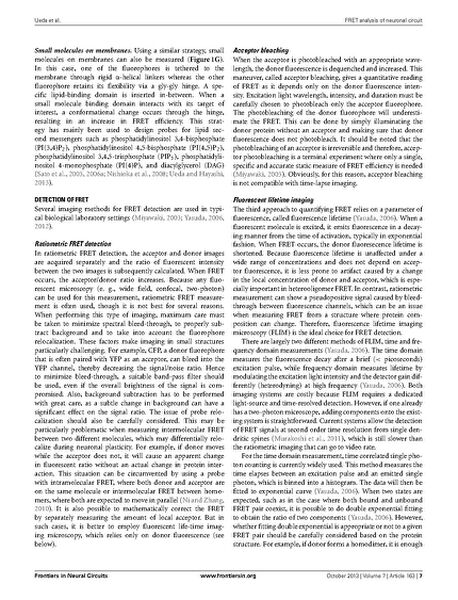 File:Page7-687px-Ueda Front Neural Circuits.pdf.jpg