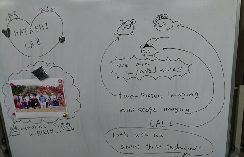 File:20250323095002!Lab warming party5.jpg