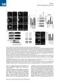 Thumbnail for version as of 06:18, 11 April 2026