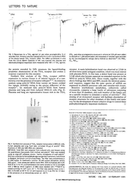 File:Page4-877px-Hirata Nature.pdf.jpg