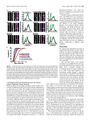Thumbnail for version as of 06:17, 11 April 2026