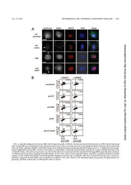 File:Page12-846px-Kishi mol cell biol.pdf.jpg