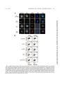Thumbnail for version as of 06:17, 11 April 2026