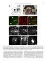 Thumbnail for version as of 06:17, 11 April 2026