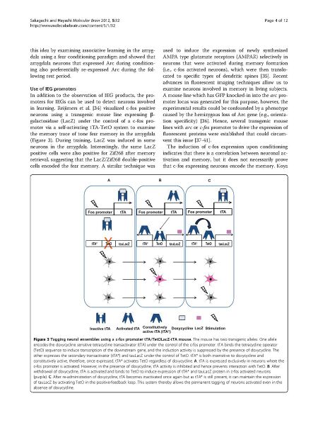 File:Page4-900px-Sakaguchi Mol Brain.pdf.jpg