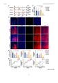 Thumbnail for version as of 06:17, 11 April 2026