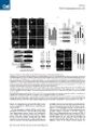 Thumbnail for version as of 06:18, 11 April 2026