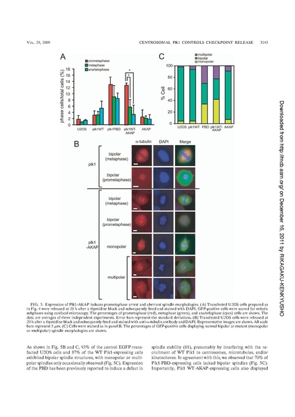 File:20250323102359!Kishi mol cell biol.pdf