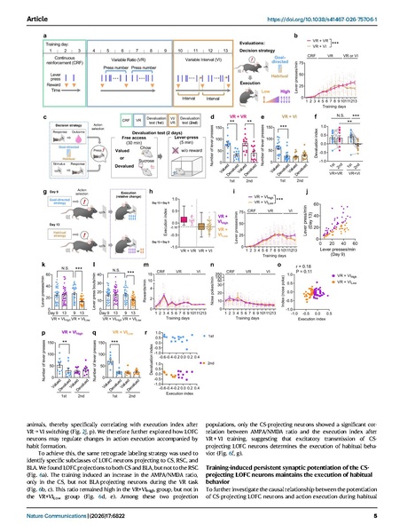 File:Asaoka Nat Comm 2026.pdf