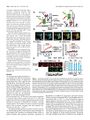 Thumbnail for version as of 06:18, 11 April 2026