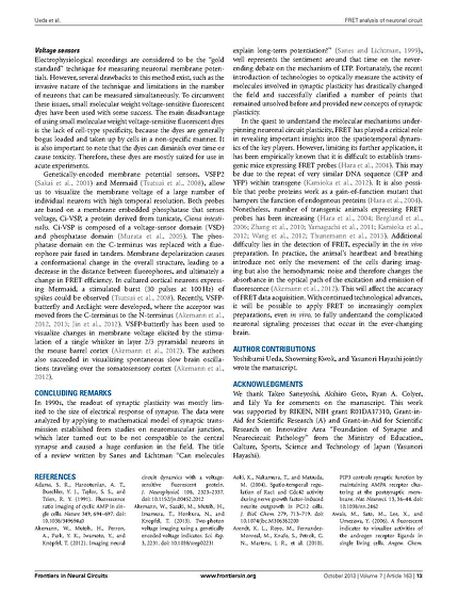 File:Page13-687px-Ueda Front Neural Circuits.pdf.jpg
