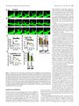 Thumbnail for version as of 06:18, 11 April 2026