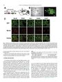 Thumbnail for version as of 06:17, 11 April 2026