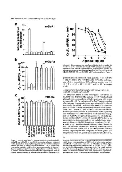 File:Page3-635px-Hayashi J Neurosci 1994.pdf.jpg
