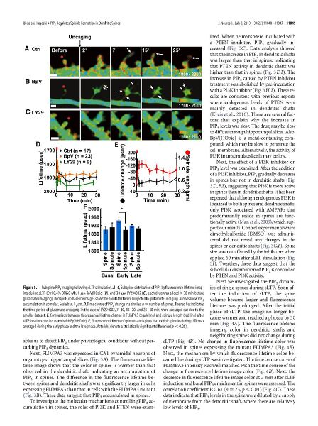 File:Page6-896px-Ueda J Neurosci.pdf.jpg