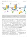 Thumbnail for version as of 06:18, 11 April 2026