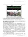 Thumbnail for version as of 06:18, 11 April 2026