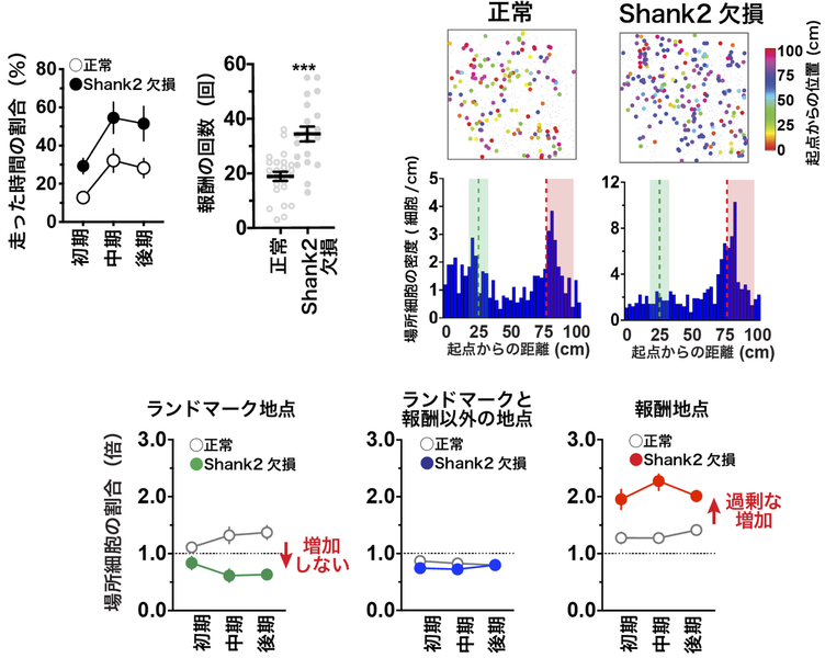 File:1128px-Sato Press Release Fig4.png