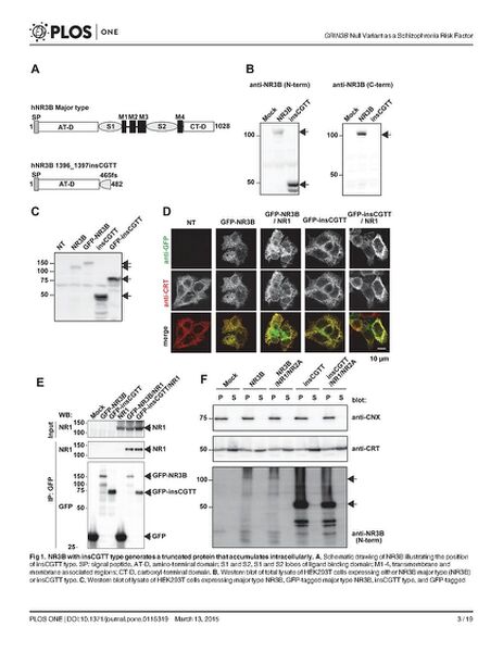 File:Page3-695px-Matsuno PLOS One.pdf.jpg