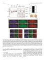 Thumbnail for version as of 06:17, 11 April 2026