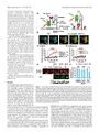 Thumbnail for version as of 06:18, 11 April 2026