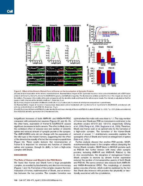 File:Page8-922px-Hayashi cell.pdf.jpg