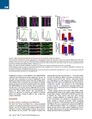 Thumbnail for version as of 06:17, 11 April 2026