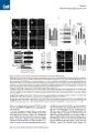 Thumbnail for version as of 06:18, 11 April 2026
