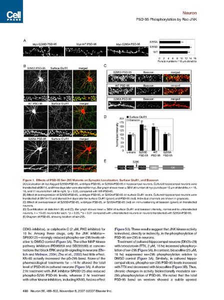 File:Page3-894px-Kim Neuron 2007.pdf.jpg