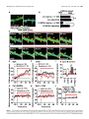 Thumbnail for version as of 06:18, 11 April 2026