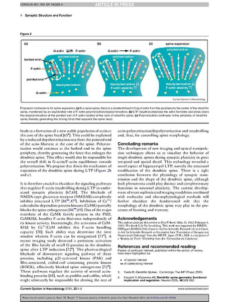 File:Page4-694px-Bosch curr opin neurobiol.pdf.jpg