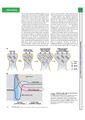 Thumbnail for version as of 06:18, 11 April 2026