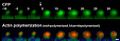 Thumbnail for version as of 06:18, 11 April 2026