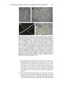 Thumbnail for version as of 06:17, 11 April 2026