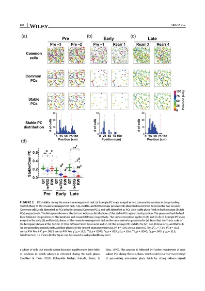 File:20250323102422!Mizuta Hippocampus 2021.pdf