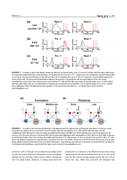 File:20250323102422!Mizuta Hippocampus 2021.pdf