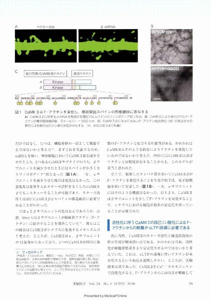File:20250323102840!Hayashi Jikkennigaku 2016a.pdf