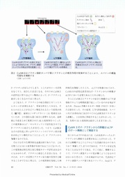 next page →