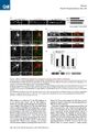 Thumbnail for version as of 06:18, 11 April 2026